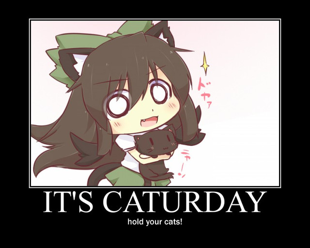 The Catgirl Appreciation Society - Page 3 C5dd70d4130676484854482fb2eea23f1310203977_full