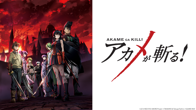 Akame Ga Kill Custom Card Pack (YgoPro) 3ca0b77d83a9136072dd52638bf49f171404603093_full