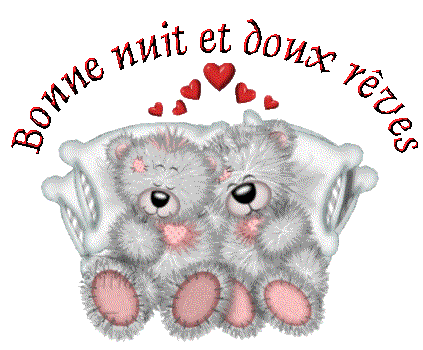 un pti bonsoir ou bonne nuit c'est ici !!! - Page 3 Nuit-bonne-nuit-et-doux-reves-nounours