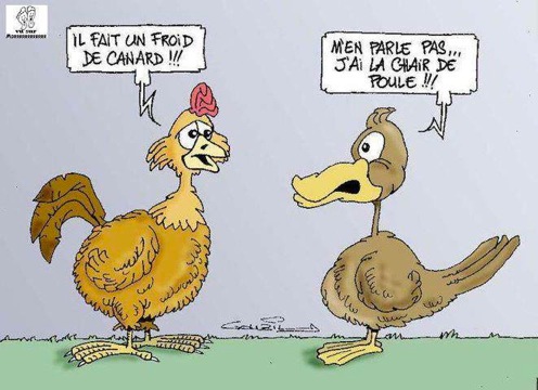 Mercredi 13 Janvier Humour%206