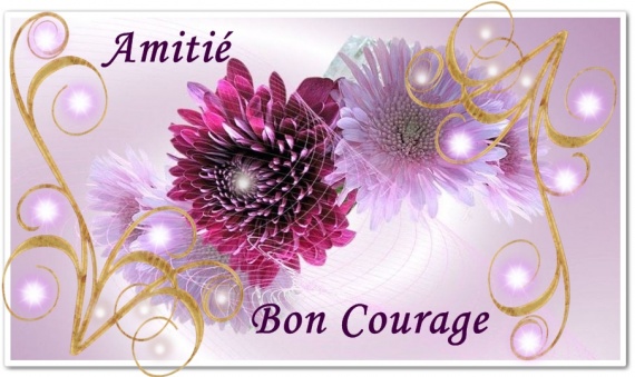 Au revoir ma Moune Amitie-bon-courage-amitie-img