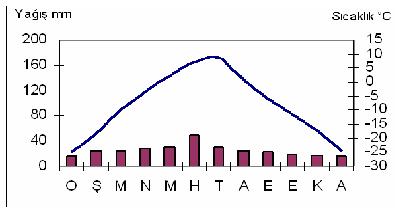 iklim çeşitleri Tundra-grafik