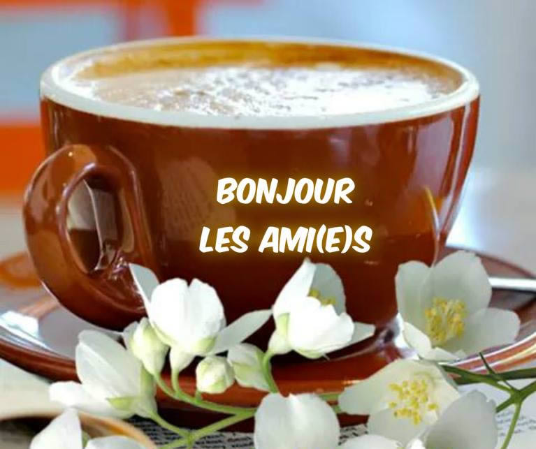 mercredi 8 mars Bonjour_105