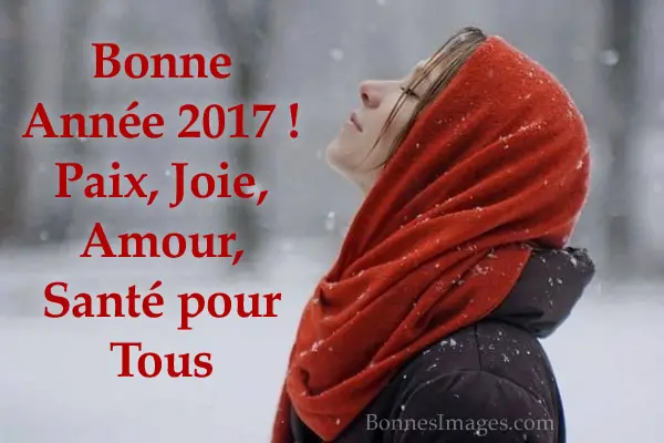 Meilleurs voeux 2017 ! Bonne-annee_058a