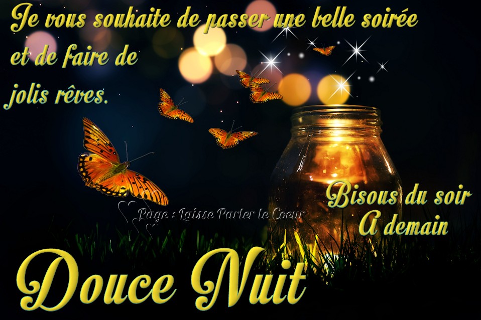 Janvier 2018................. Bonne-nuit_236