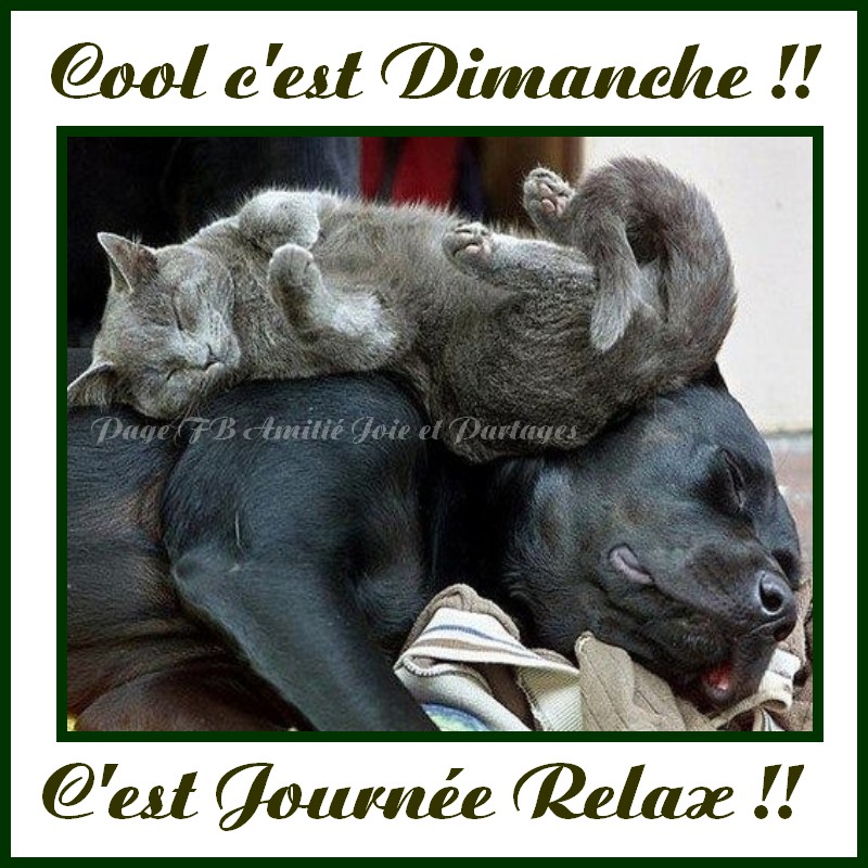 Dimanche 7 janvier Dimanche_112