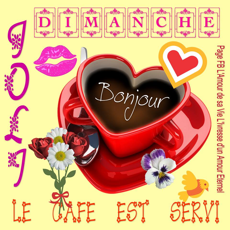 dimanche 12 novembre Dimanche_123