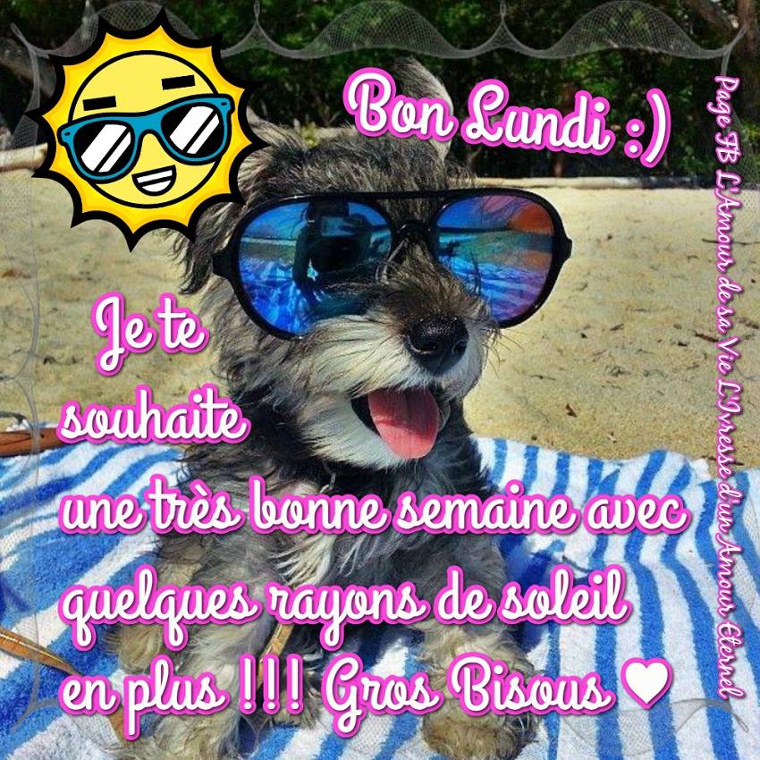 BON LUNDI de la part de Josiane Lundi_088