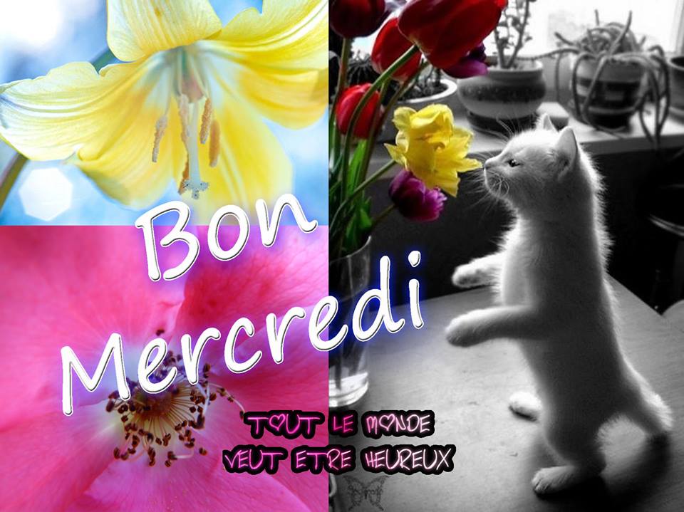 BON MERCREDI de la part de Josiane Mercredi_075