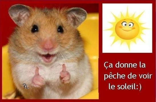 images humour  - Page 30 Meteo_028