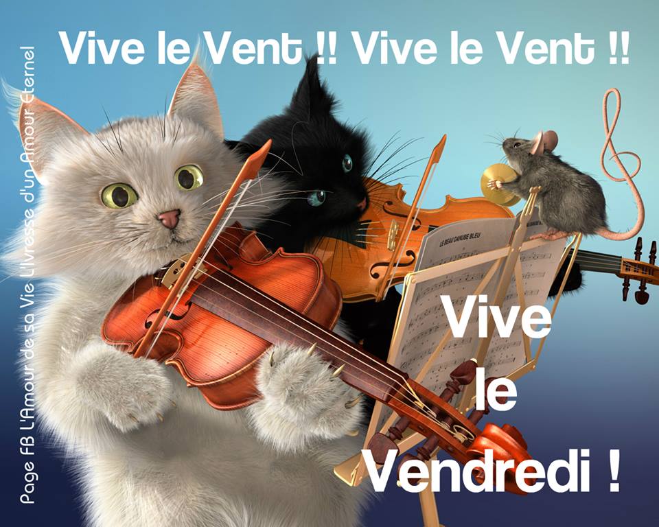 vendredi 25 août  Vendredi_073