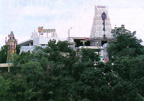 பச்சை மலை அருள்மிகு சண்முகநாதர் திருக்கோயில், ஈரோடு T_500_1756