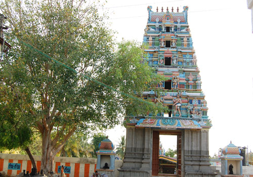 அருள்மிகு கல்யாண விகிர்தீஸ்வரர் திருக்கோயில், கரூர் T_500_88