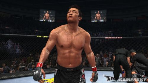 XBOX360《UFC终极格斗冠军赛2010》全区下载 006