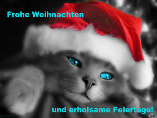 Frohe Weihnachten  038