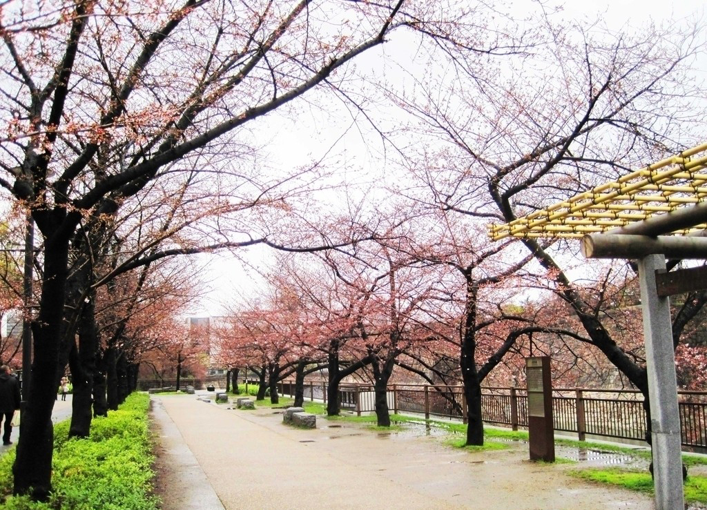 日本14日游 大阪游玩处投票地 50