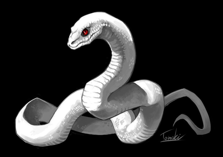 Ghost, white python White_snake_by_tomoki17-d5oe64e