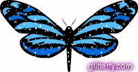 مكتبه لصور الجليتر Blue_butterfly