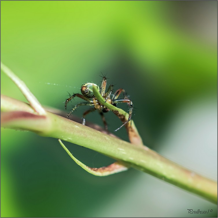 Madame et ses futurs petits ... Pb_1312-45eaa66