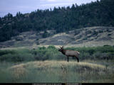 NationaL Geographic Fotoraflar Th_23937_SaMoSo80