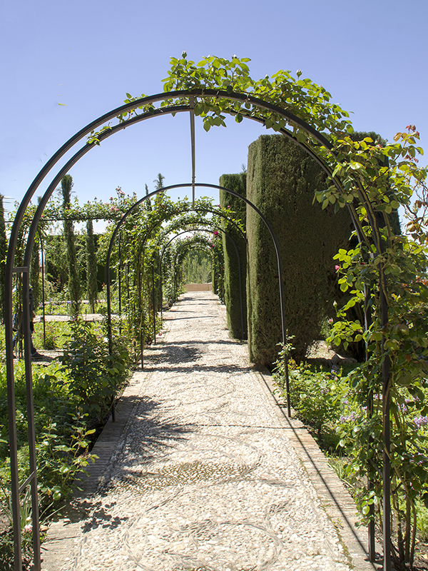 Jardins del Partal Jardin1-445e917