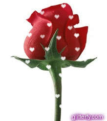 <<<***THANX FOR BEING MY FRIEND***>>> Red-rose