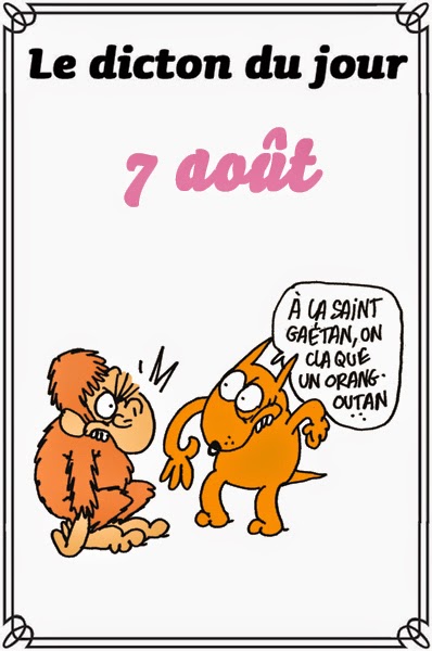 dicton du jour / dicton humour - Page 3 Dicton0807-52d1390