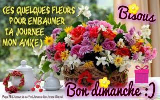 Bonjour / Bonsoir d'Octobre  - Page 2 Dimanche_067-510e8cb