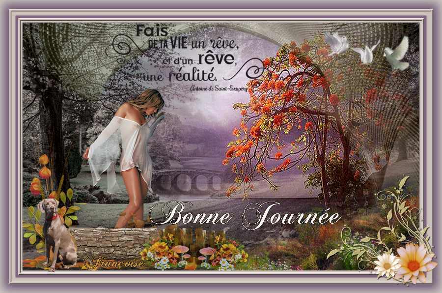 BONJOUR A TOUS - Page 39 24-f-vrier-2017.2-51af411