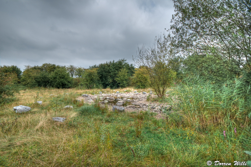 la gravière brock a hermalle sous argenteau en belgique Dpp_-graviere--0005-4cc8a75