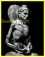 Le bouddhisme est la pratique des enseignements de Bouddha. Bouddha-tombe-4c75f0b