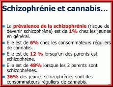 Cannabis & Schizophrénie Image-4f3e55e