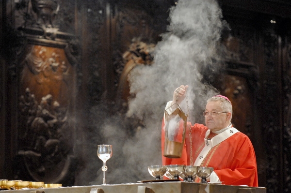 La pureté catholique est parfaite & va au-dela de l'hygiène parfaite. Image-4e9bdf6