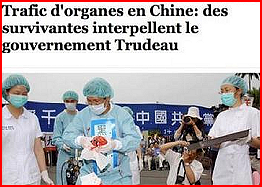 法轮大法 - Falun Gong ou Falun Dafa, bouddhisme chinois. - Page 2 Falun-viande-5397059