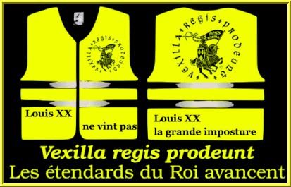 Pour Dieu, le Roy et la France Louis-vint-jaune-56113e6