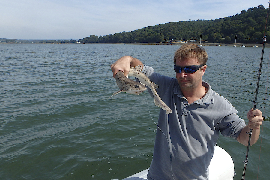 Reportage : pêche aux requins P9130042-479d153