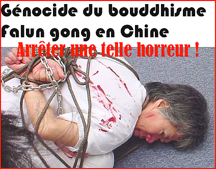 法轮大法 - Falun Gong ou Falun Dafa, bouddhisme chinois. Falun-genocides-4d44f5c