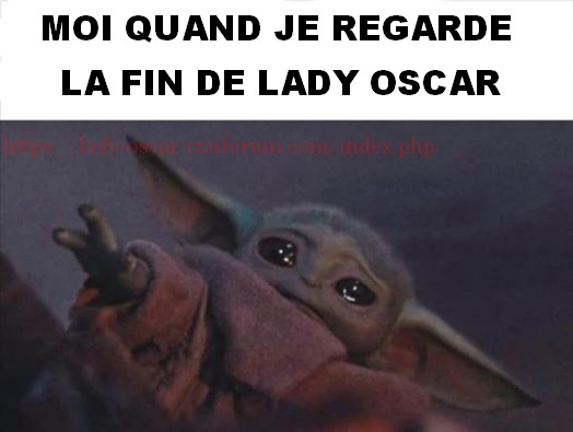 Mes memes Lady Oscar et autres images humoristiques - Page 5 Kn-56cf07f