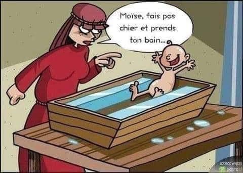 Images Drole - Page 32 Humour42-58b560c