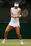 Ana :2008 OnCourt Photos - Page 2 Th_91060_Celebutopia-Ana_Ivanovic-2008_Wimbledon_Championships_Day_5-21_122_797lo
