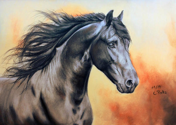 السوق الصيني Friesian_horse_iv_by_maniaadun-d85kdkn