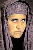 Steve McCurry  la nia afgana (1984 Th_25940_SharbatGula2_122_690lo