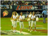 Tigres Vs Leones Playoffs 2008 Th_84912_Leones-Tigres013_122_959lo