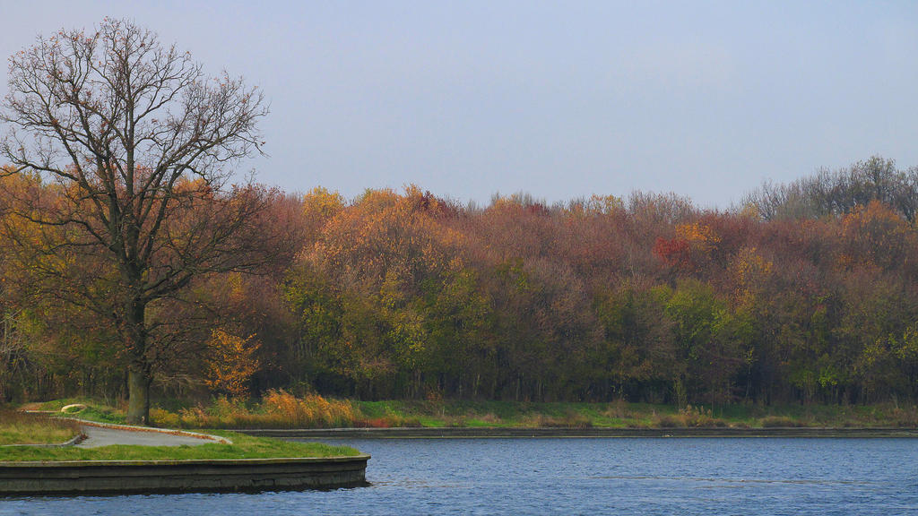 autumn on lake... by Iulian-dA-gallery