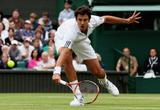 Wimbledon Th_49692_3.VS_Ferrer_8407_122_1011lo