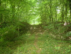 Eperon barré de Fontoy Th_32711_DSCN0083_122_76lo