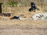 juego abierto de paintball 10/05/09 en cordoba Capital Th_25275_DSC02695_122_1015lo