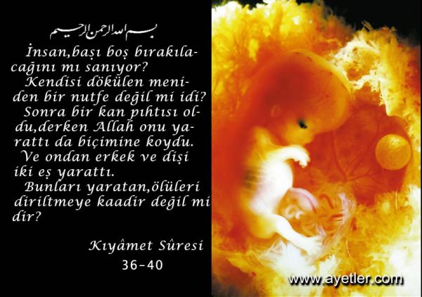 kiyamet suresi Kiyamet2036-40_jpg