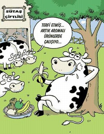 Uğur Böceği - Orhan Böceği - Sinan Böceği Karikaturler_20__2011