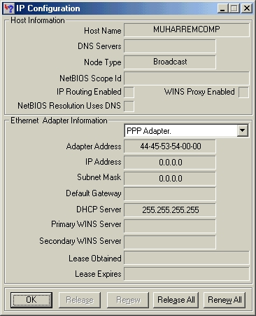 Ipconfig Komutu Winipcfg_1238003374